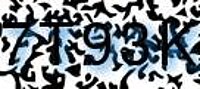 grafischer Sicherheitscode