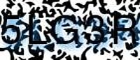 grafischer Sicherheitscode