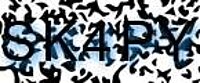 grafischer Sicherheitscode