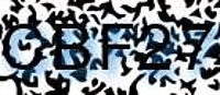 grafischer Sicherheitscode
