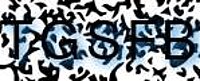 grafischer Sicherheitscode