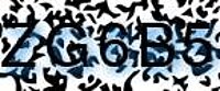 grafischer Sicherheitscode