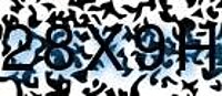 grafischer Sicherheitscode