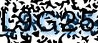 grafischer Sicherheitscode