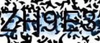 grafischer Sicherheitscode