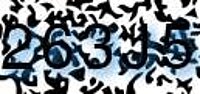 grafischer Sicherheitscode