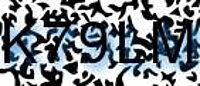 grafischer Sicherheitscode