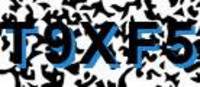 grafischer Sicherheitscode