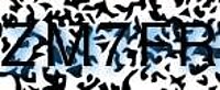 grafischer Sicherheitscode