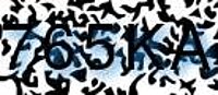 grafischer Sicherheitscode