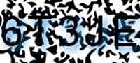 grafischer Sicherheitscode