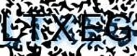 grafischer Sicherheitscode