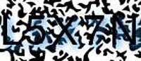 grafischer Sicherheitscode