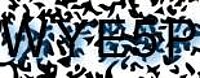 grafischer Sicherheitscode
