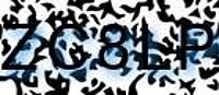 grafischer Sicherheitscode