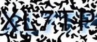grafischer Sicherheitscode
