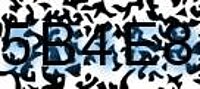 grafischer Sicherheitscode