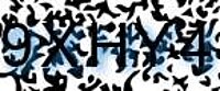 grafischer Sicherheitscode