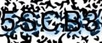 grafischer Sicherheitscode