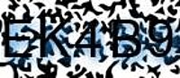 grafischer Sicherheitscode