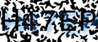grafischer Sicherheitscode