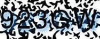 grafischer Sicherheitscode