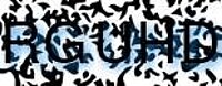 grafischer Sicherheitscode