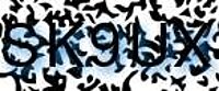 grafischer Sicherheitscode