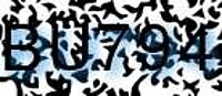 grafischer Sicherheitscode