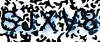 grafischer Sicherheitscode