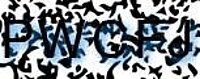 grafischer Sicherheitscode