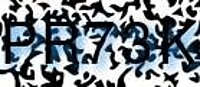 grafischer Sicherheitscode