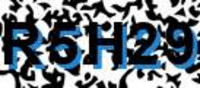 grafischer Sicherheitscode